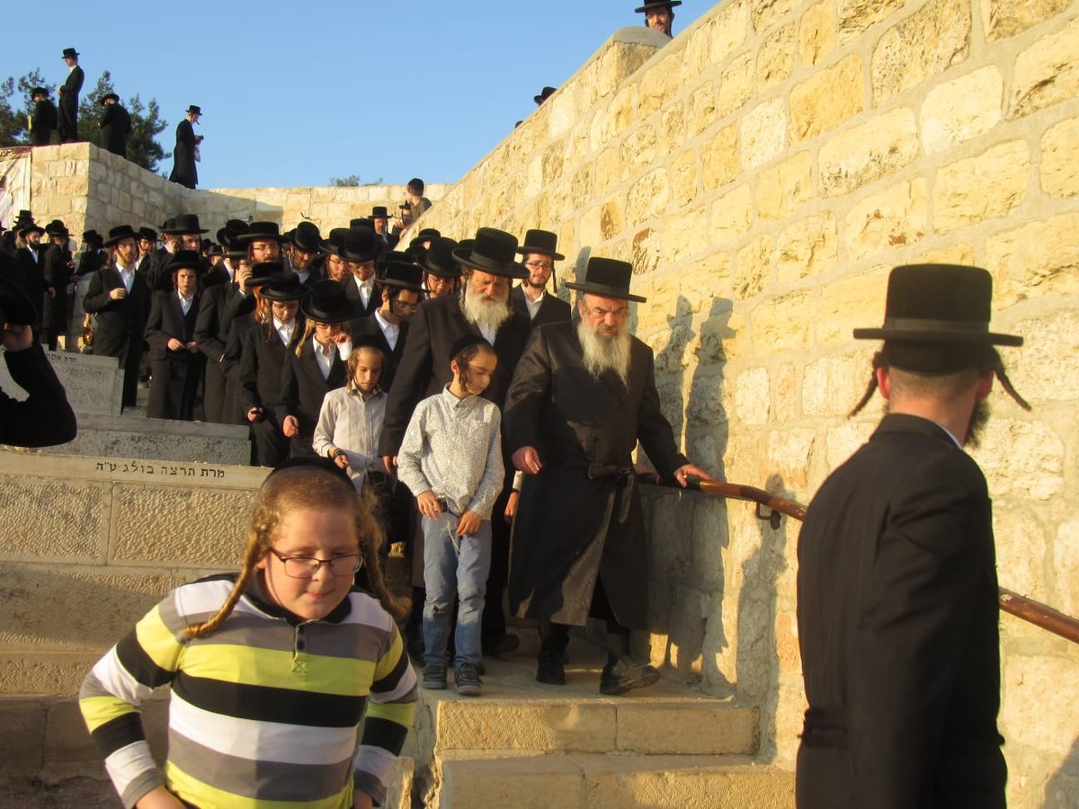 מהסליחות עד ההקפות: חגי תשרי בלעלוב