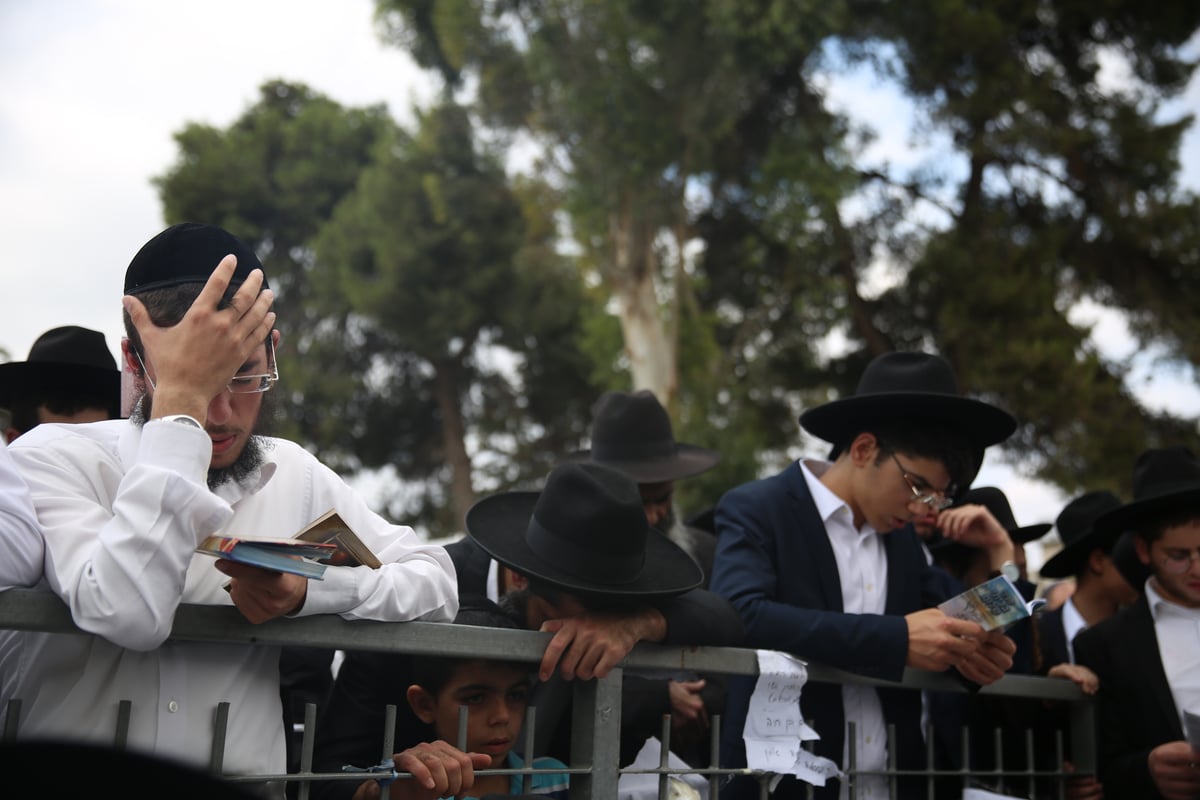 נושאים תפילות בקבר מרן זצוק"ל • גלריה