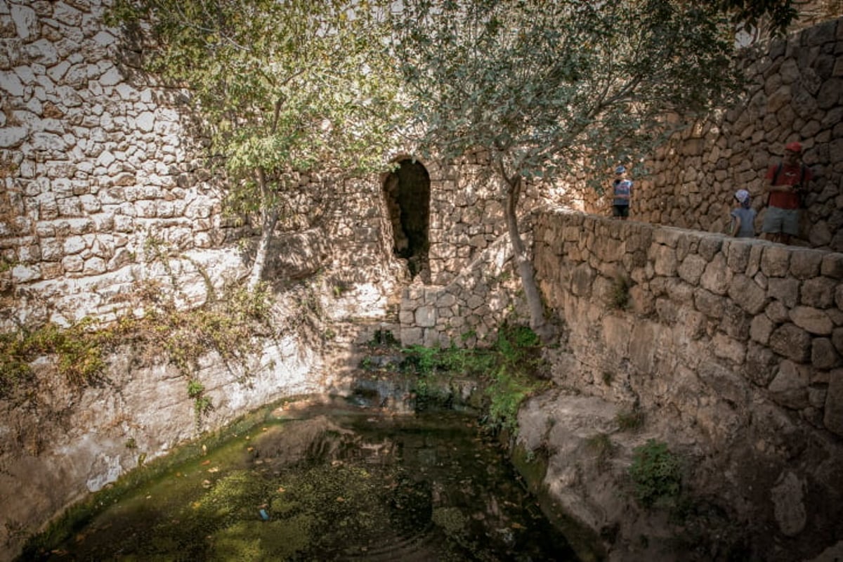 מעיין הסטף בסמוך לירושלים • גלריה