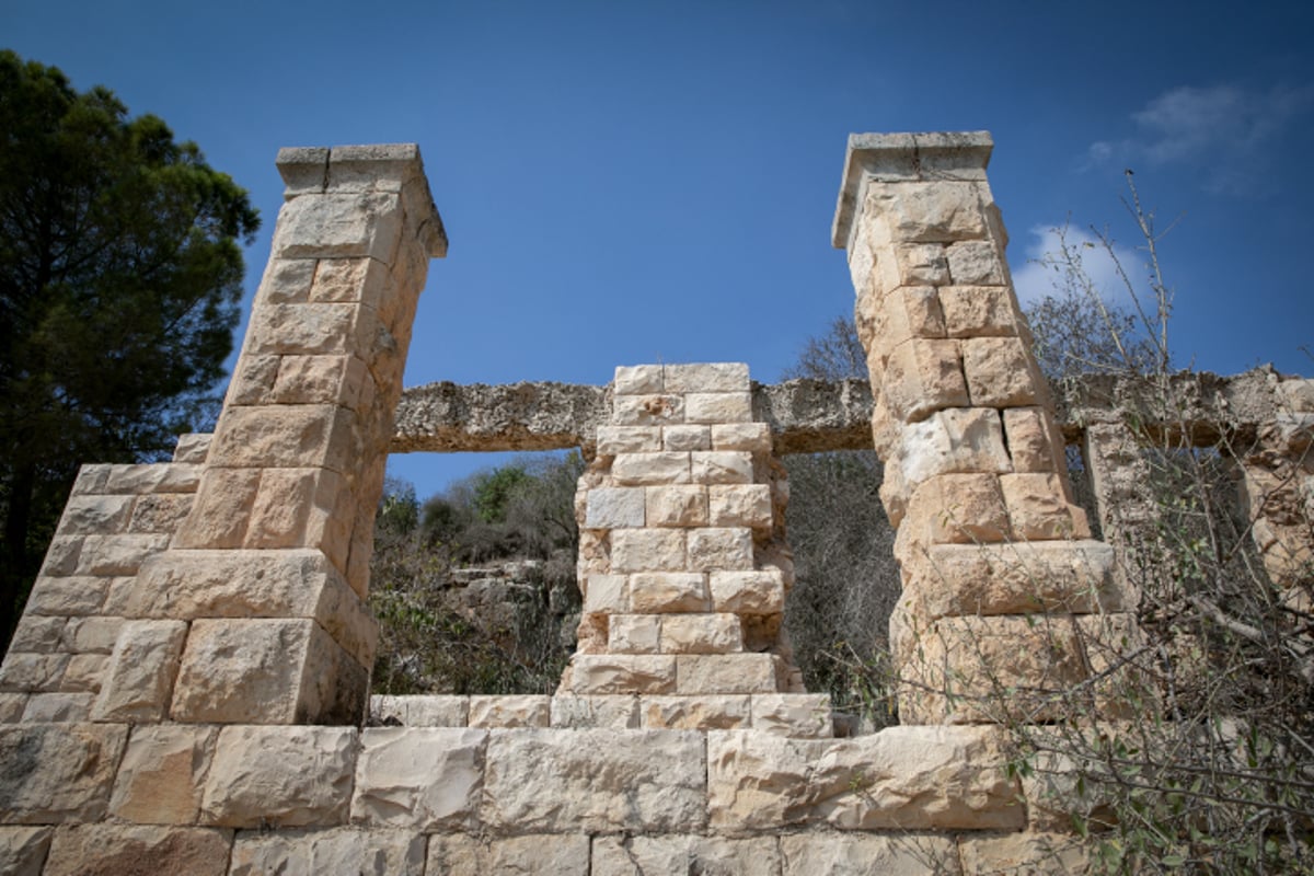 מעיין הסטף בסמוך לירושלים • גלריה