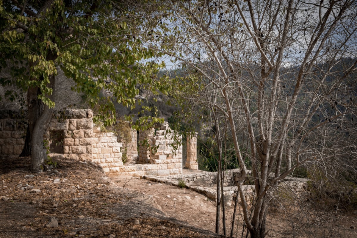 מעיין הסטף בסמוך לירושלים • גלריה