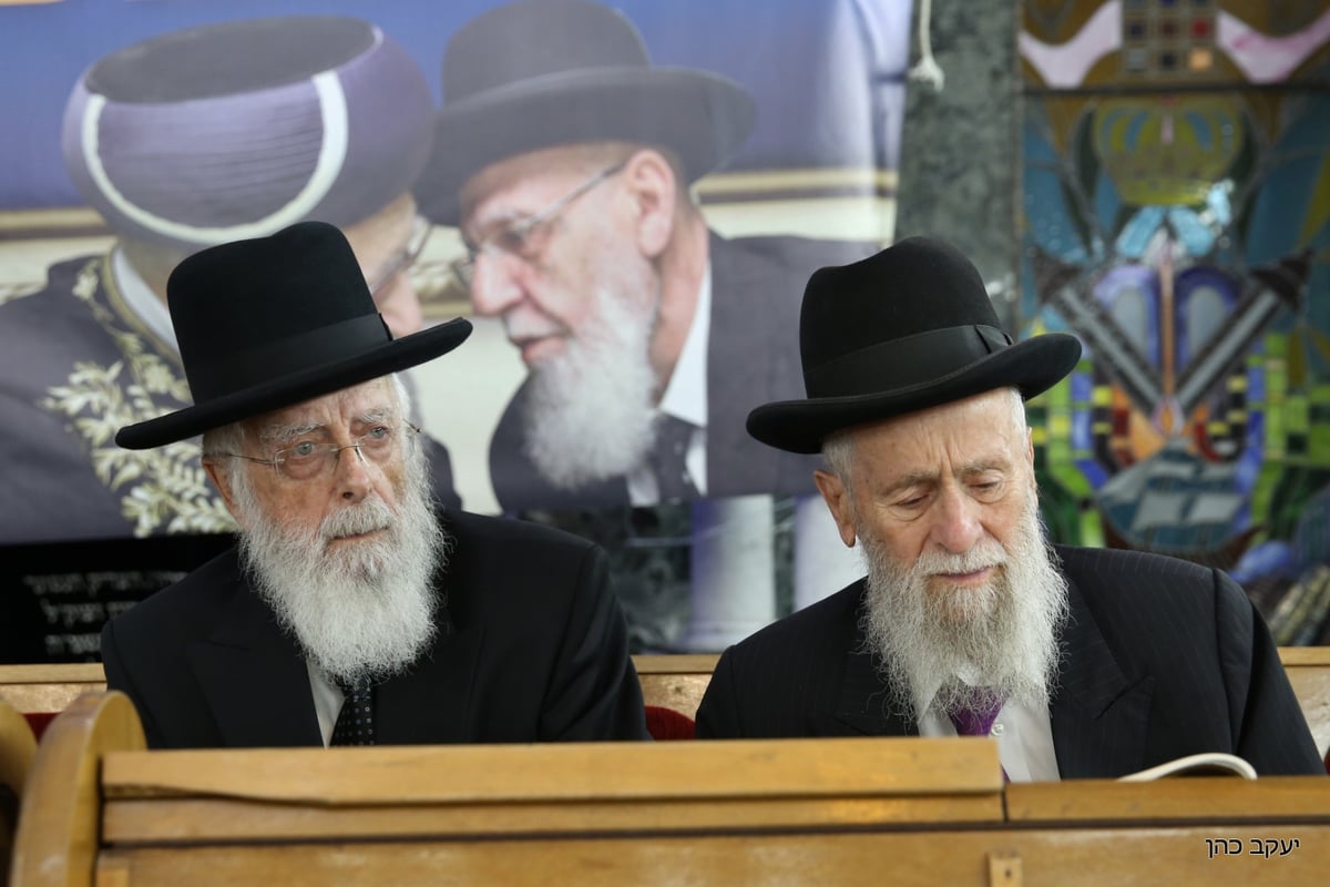 הרמז של נשיא המועצת לבחירת משה ליאון. צפו