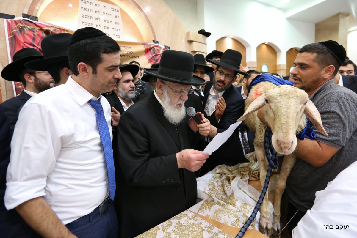 היום השני למסע הקודש של נשיא המועצת