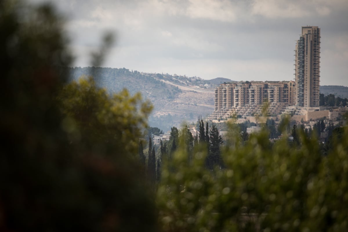 ירושלים של גשם • גלריה באפור ירוק