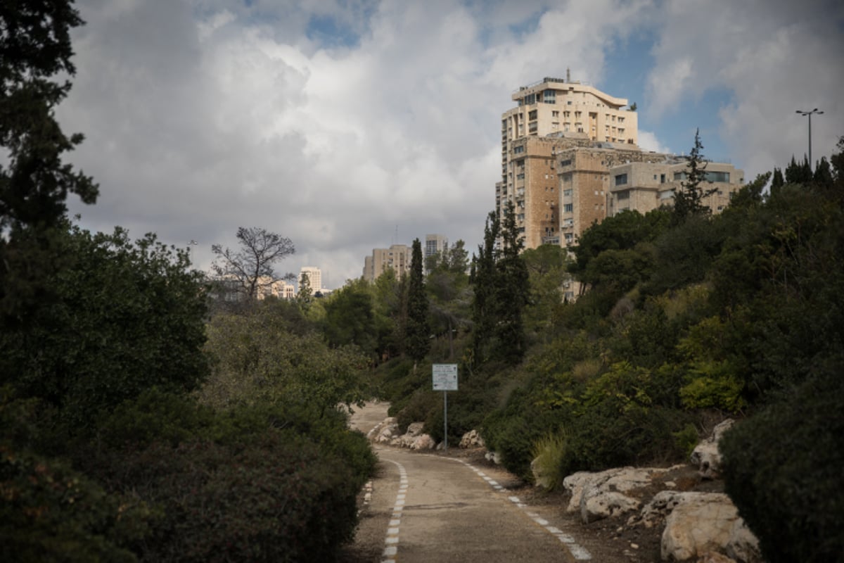 ירושלים של גשם • גלריה באפור ירוק