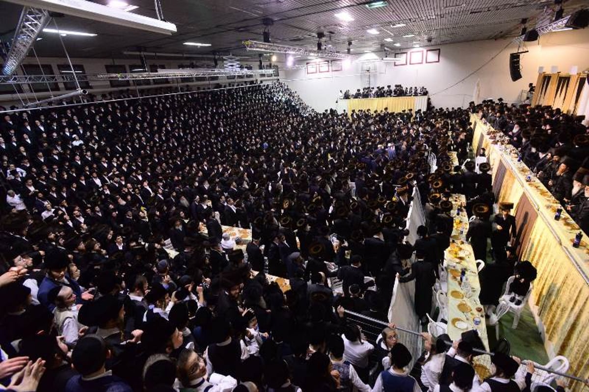 החסידים צהלו: חתונת בן הזקונים בנדבורנה