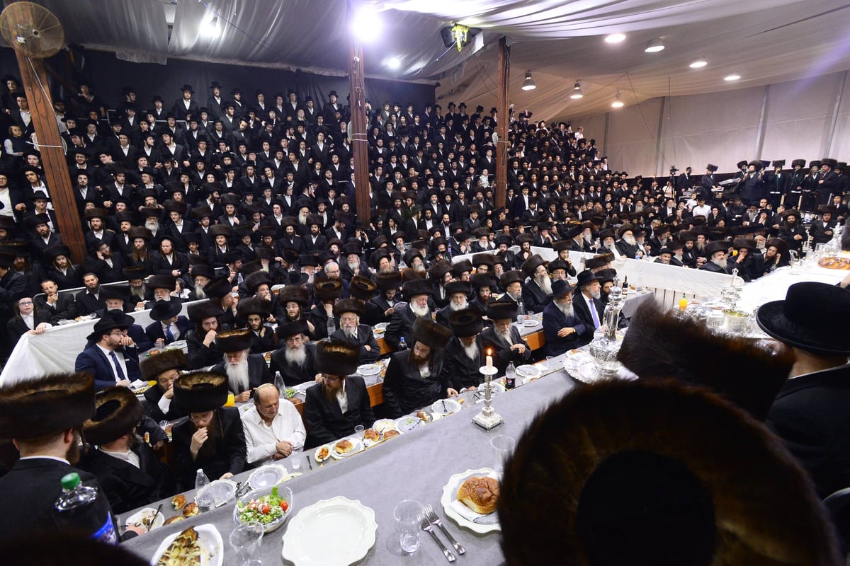 שמחות ה'שבע ברכות' לבן הזקונים בנדבורנה