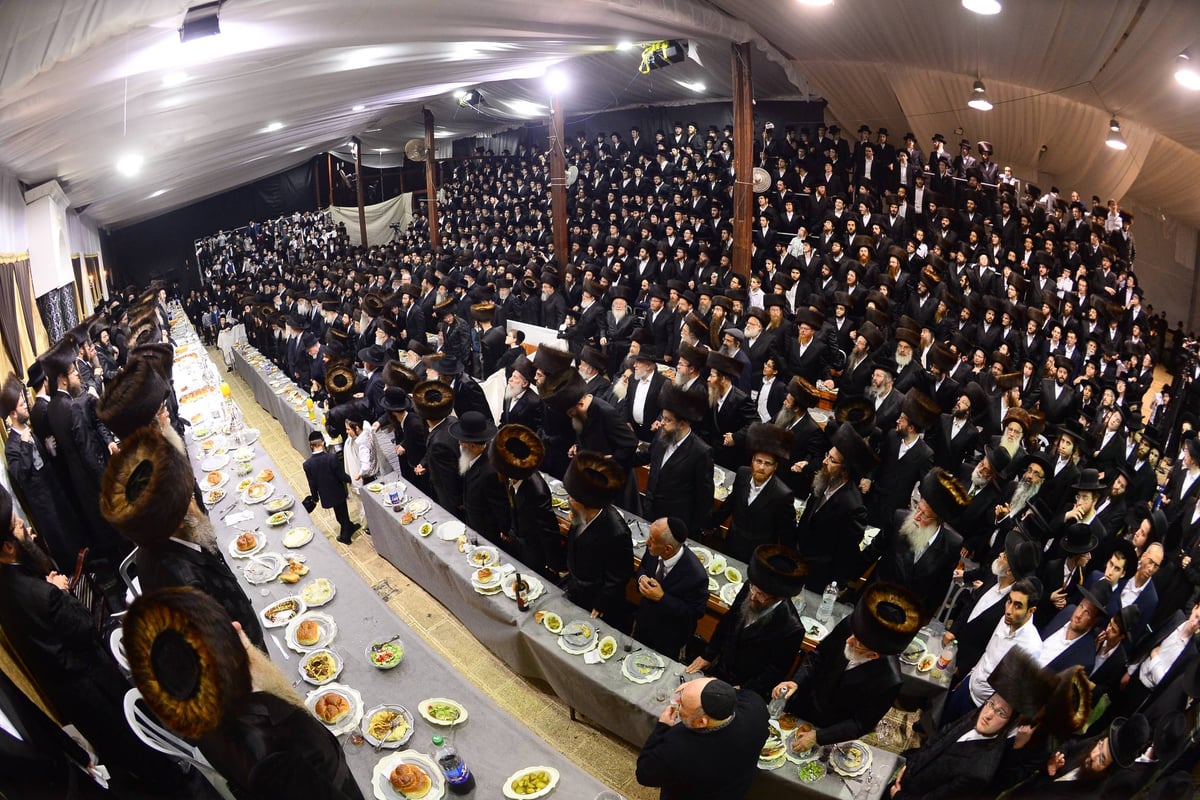 שמחות ה'שבע ברכות' לבן הזקונים בנדבורנה