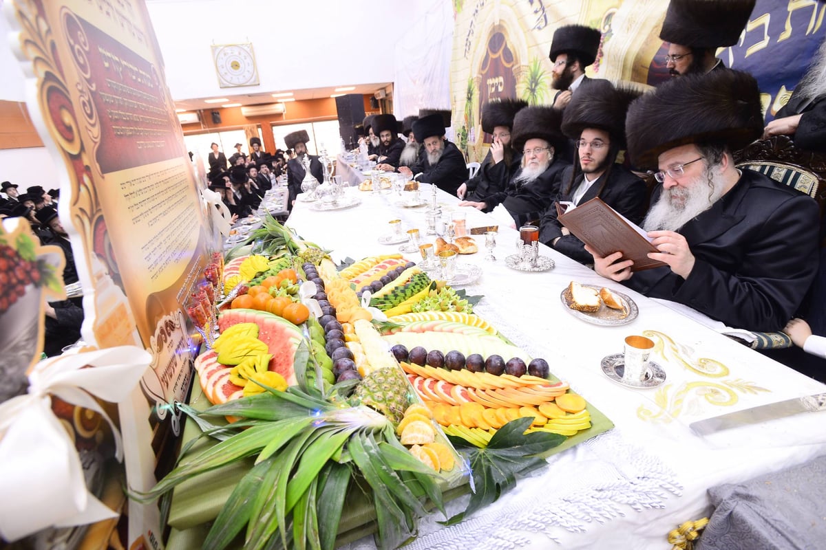 שמחות ה'שבע ברכות' לבן הזקונים בנדבורנה