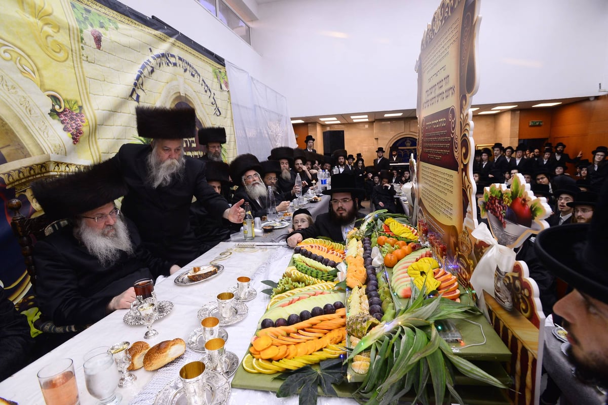 שמחות ה'שבע ברכות' לבן הזקונים בנדבורנה