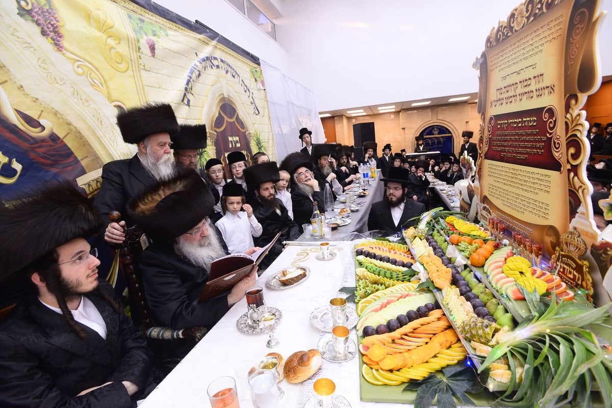 שמחות ה'שבע ברכות' לבן הזקונים בנדבורנה