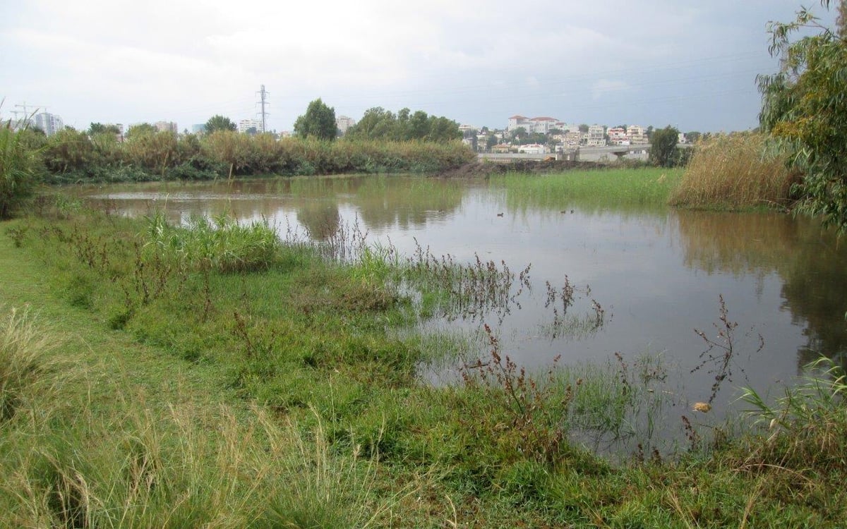 טיול לדרום השרון דרך עדשת המצלמה