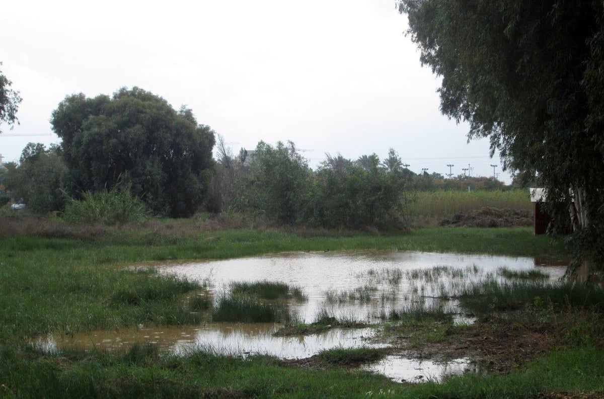 טיול לדרום השרון דרך עדשת המצלמה