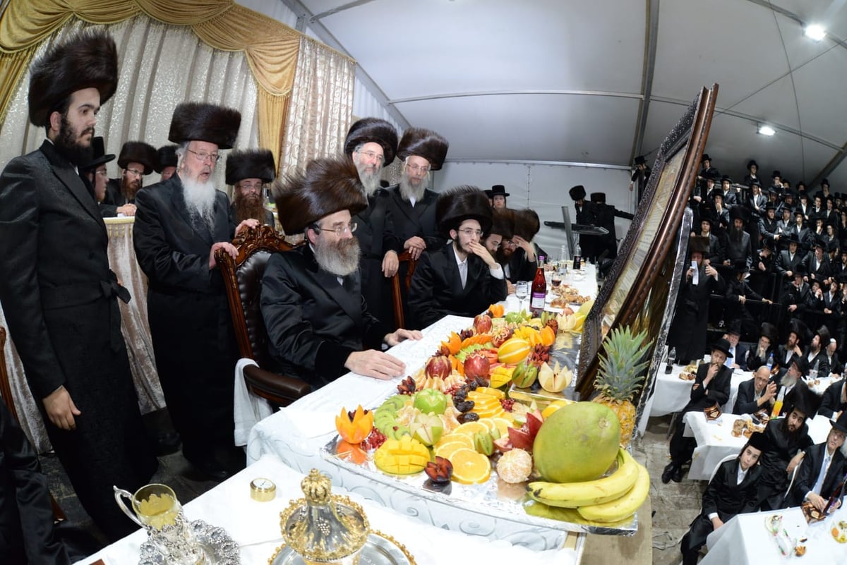 שמחת השבע ברכות לבת האדמו"ר מסאדיגורא