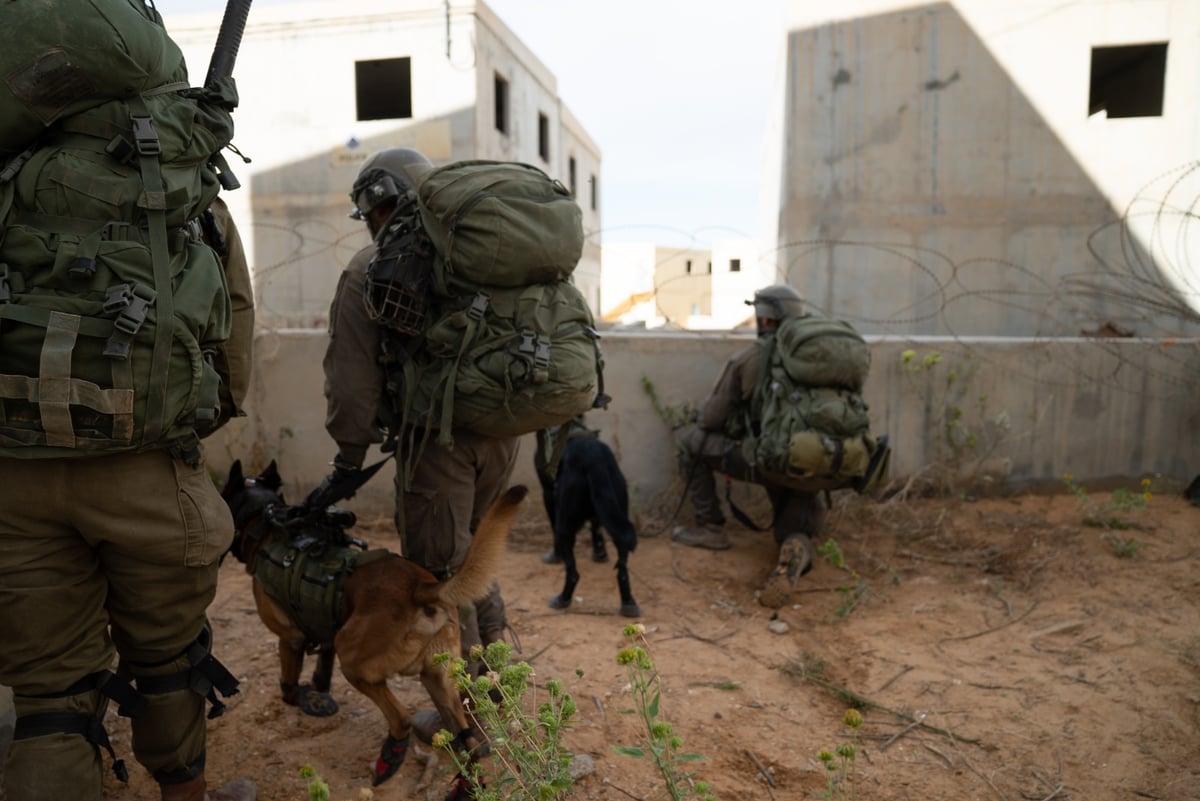 וידאו: לוחמי צה"ל מתרגלים לחימה קרקעית ברצועת עזה