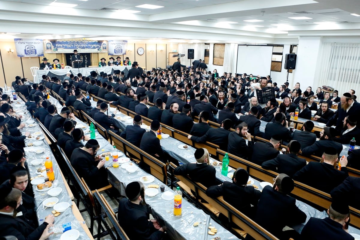 המתמידים חגגו בחנוכה עם הכרך החדש • צפו