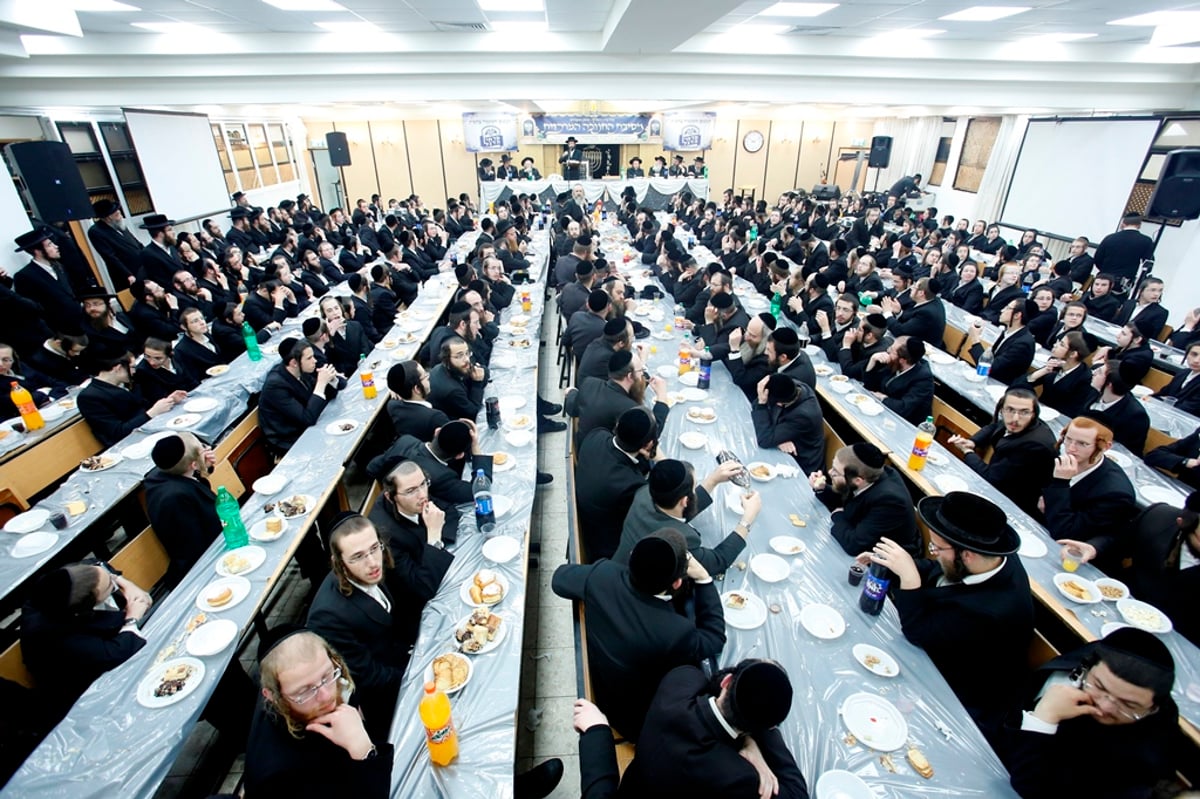 המתמידים חגגו בחנוכה עם הכרך החדש • צפו