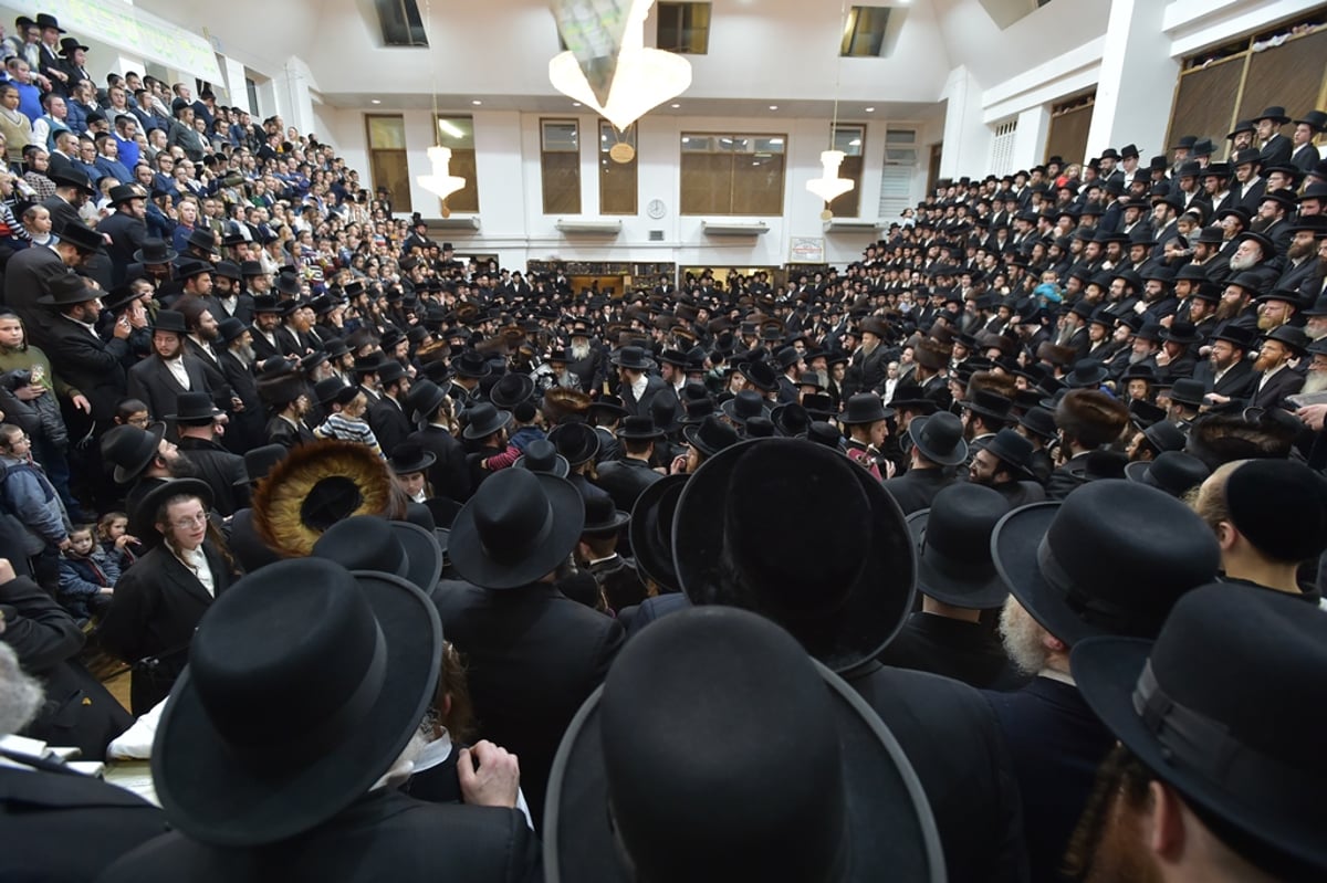 ביקור האדמו"ר מסאטמר בלונדון • גלריה