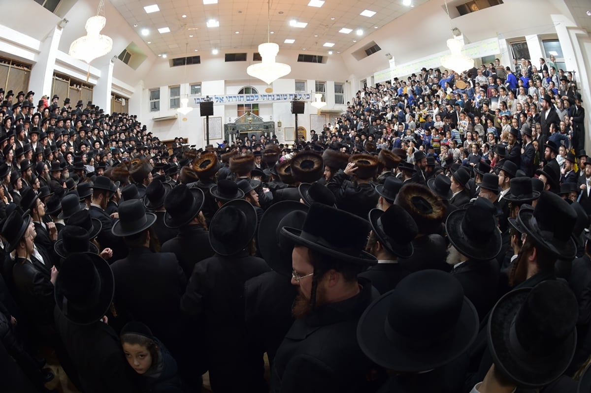 ביקור האדמו"ר מסאטמר בלונדון • גלריה