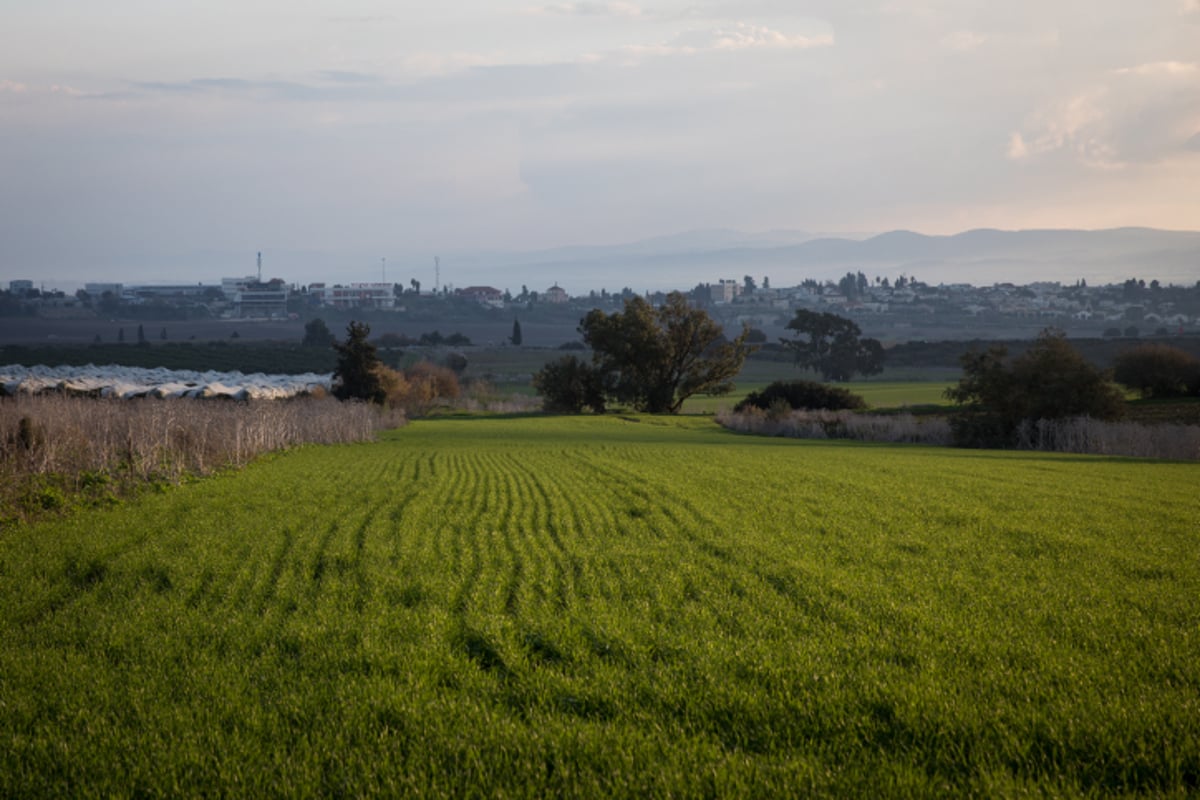 הגליל התחתון בסיור דרך עדשת המצלמה