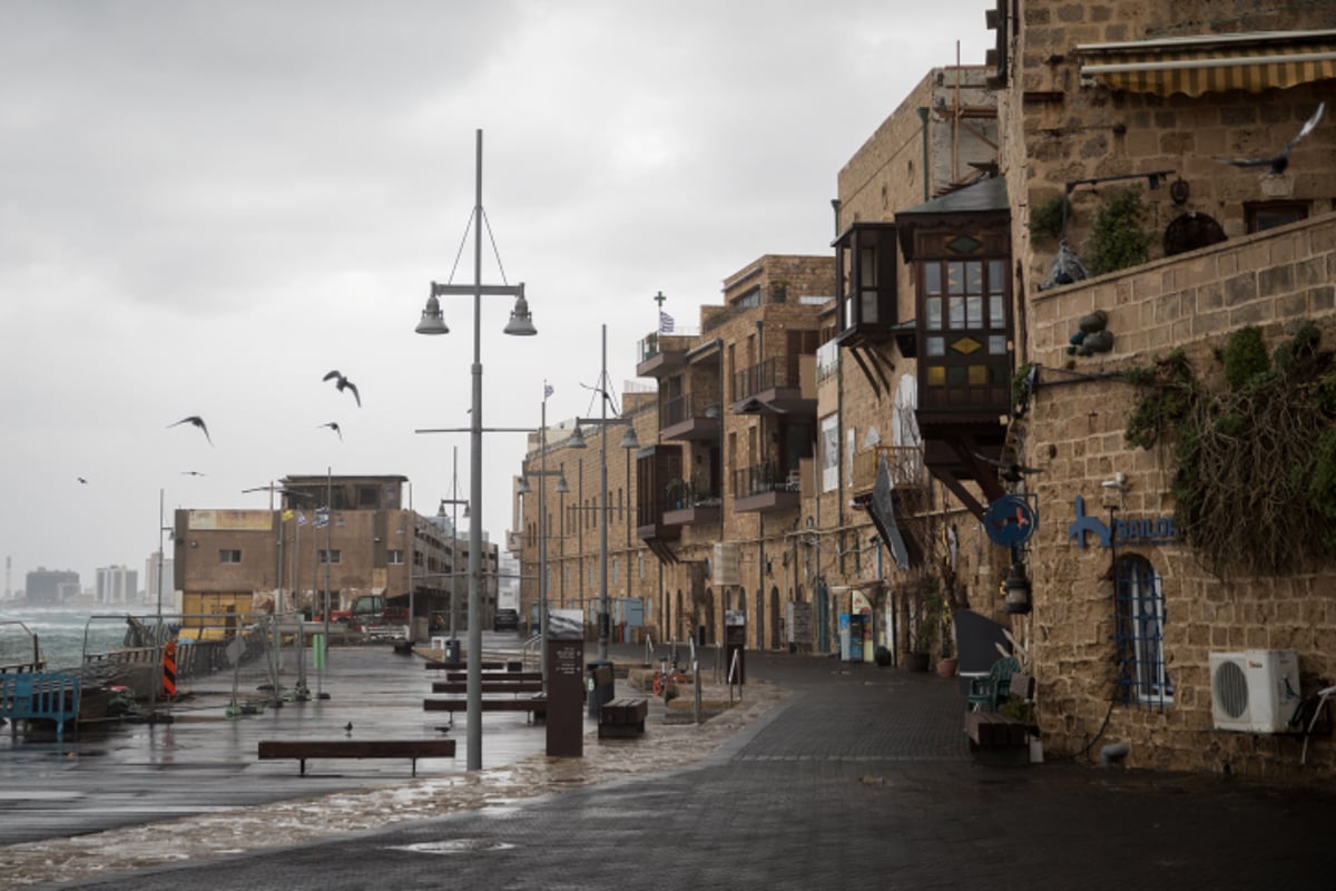 ים סערה וציפורים • גלריה חורפית מרהיבה