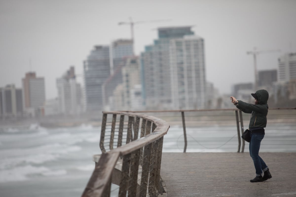 ים סערה וציפורים • גלריה חורפית מרהיבה