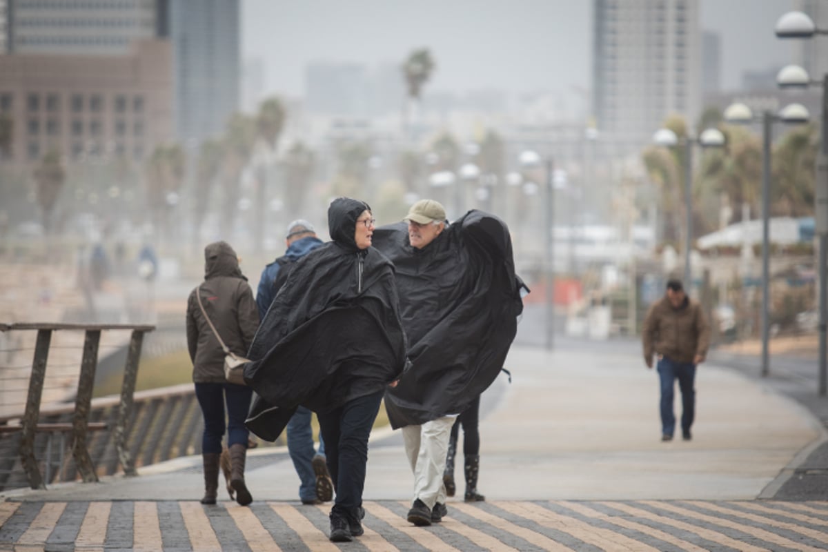 ים סערה וציפורים • גלריה חורפית מרהיבה