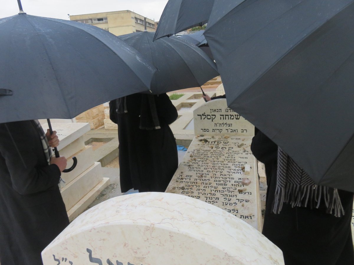 אנשי 'הפלג' במודיעין עילית התפללו על קבר אביו של רב העיר