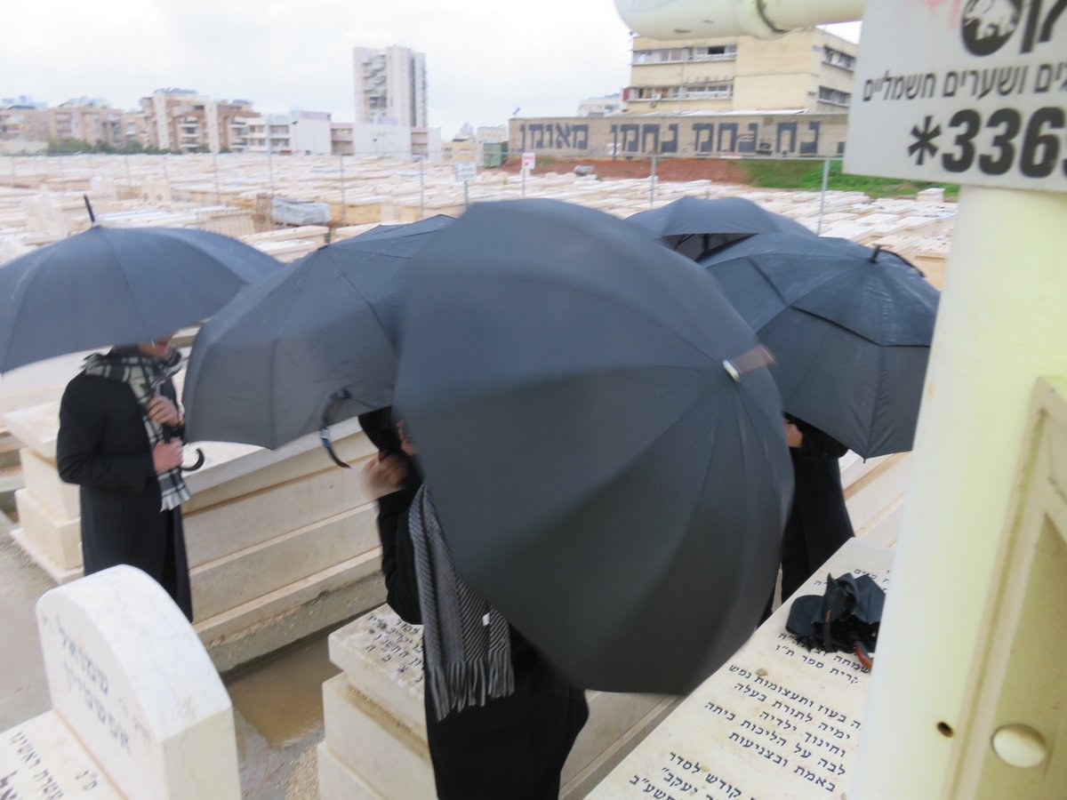 אנשי 'הפלג' במודיעין עילית התפללו על קבר אביו של רב העיר