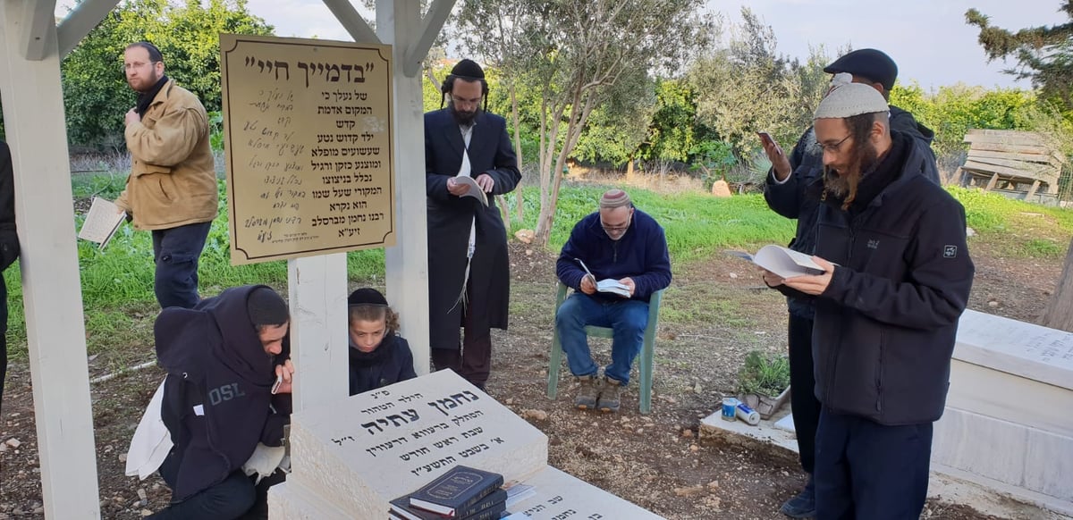 בני המשפחה עלו לקבר הילד שנרצח במגדל