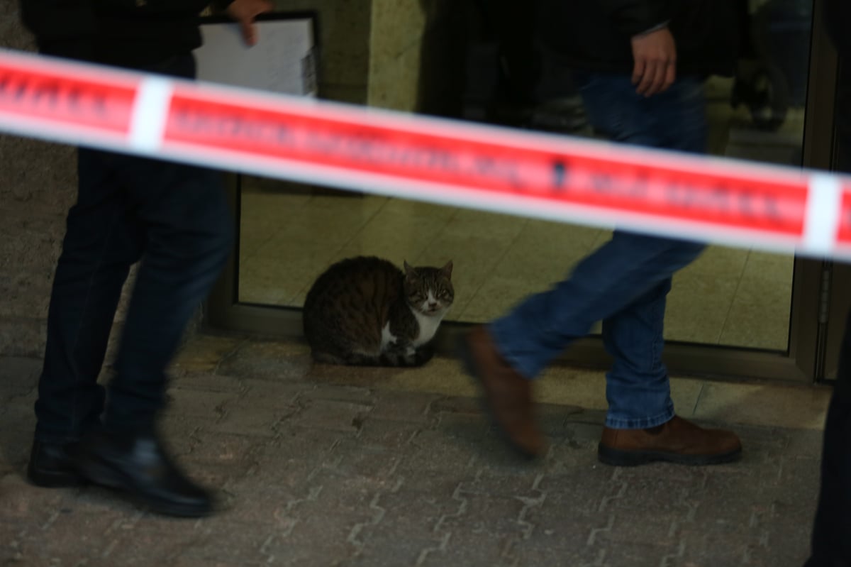 רצח הזוג החרדי: תיעוד מיוחד מהזירה הקשה