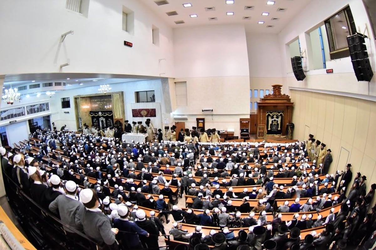 ילדי החיידרים חגגו שבע ברכות לנכד האדמו"ר • תיעוד