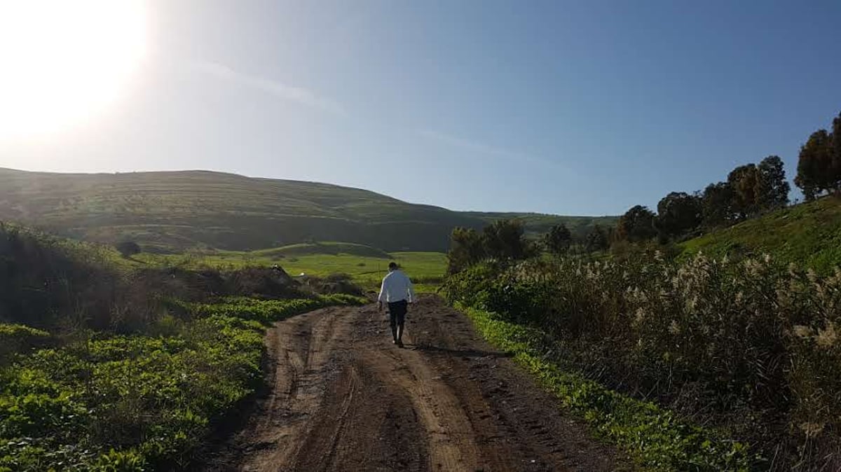 גלריית חורף צבעונית ומרהיבה מהגליל