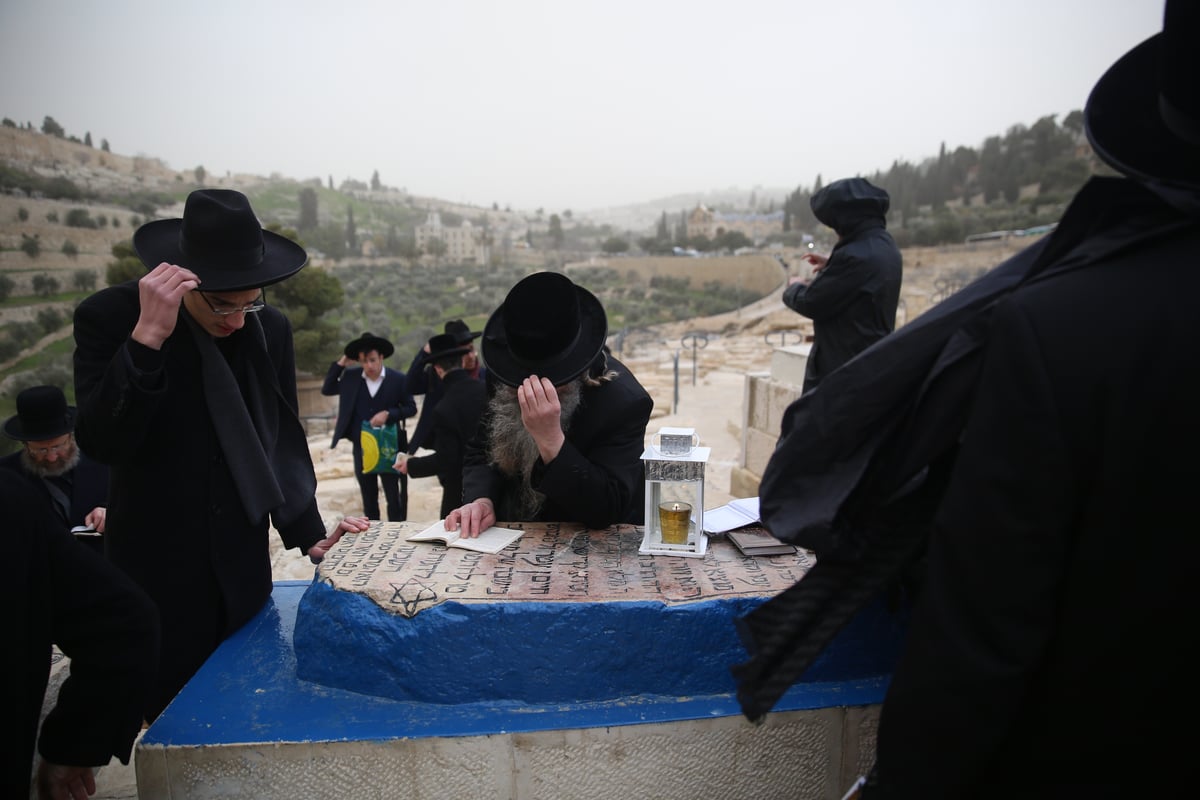 הכירו: המתפללים הקבועים בציון ה'אור החיים'. צפו