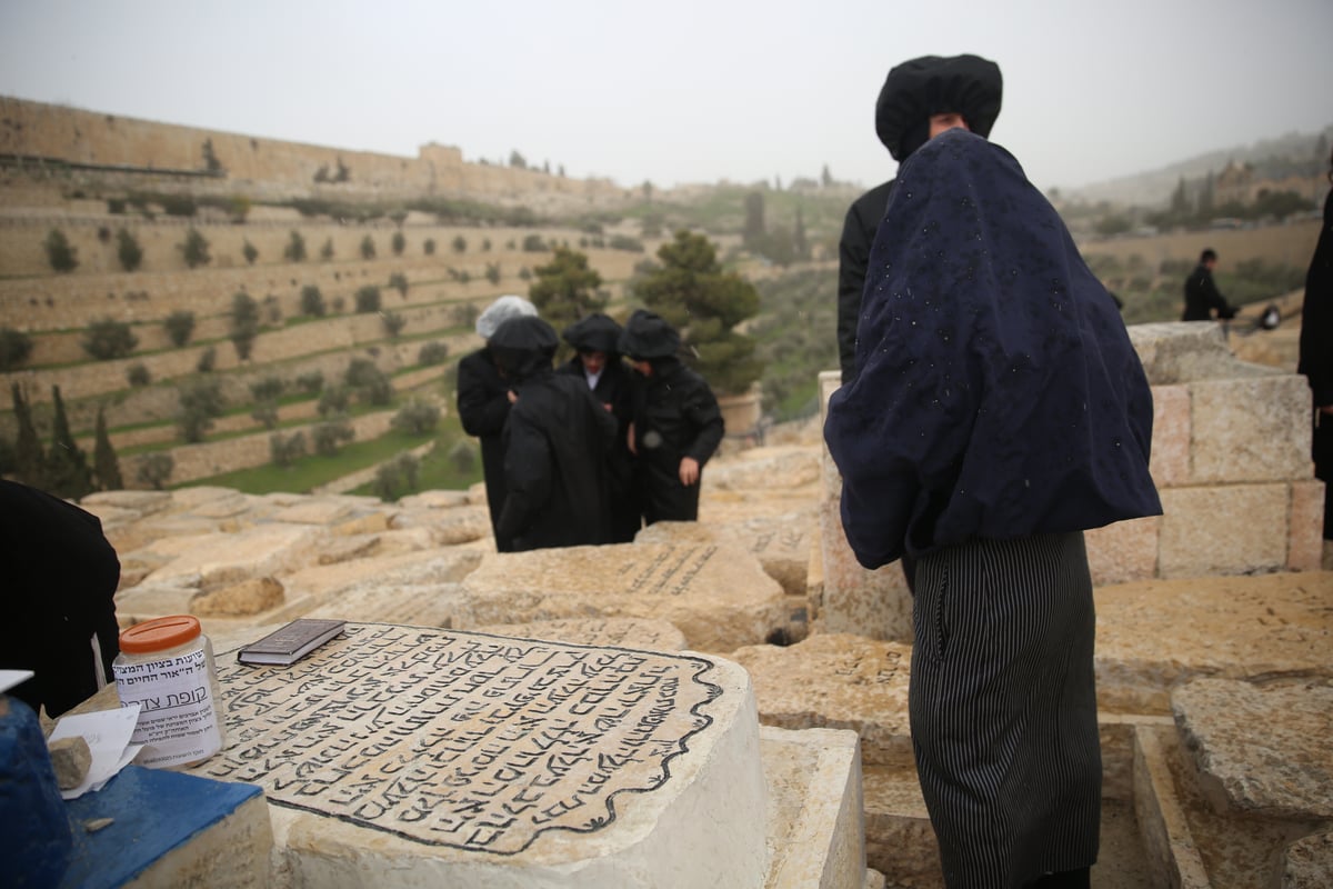 הכירו: המתפללים הקבועים בציון ה'אור החיים'. צפו