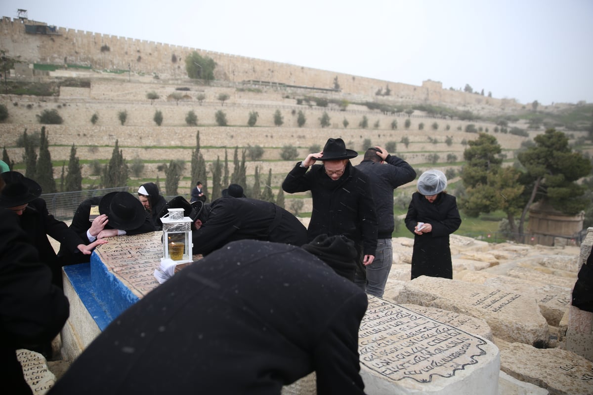 הכירו: המתפללים הקבועים בציון ה'אור החיים'. צפו