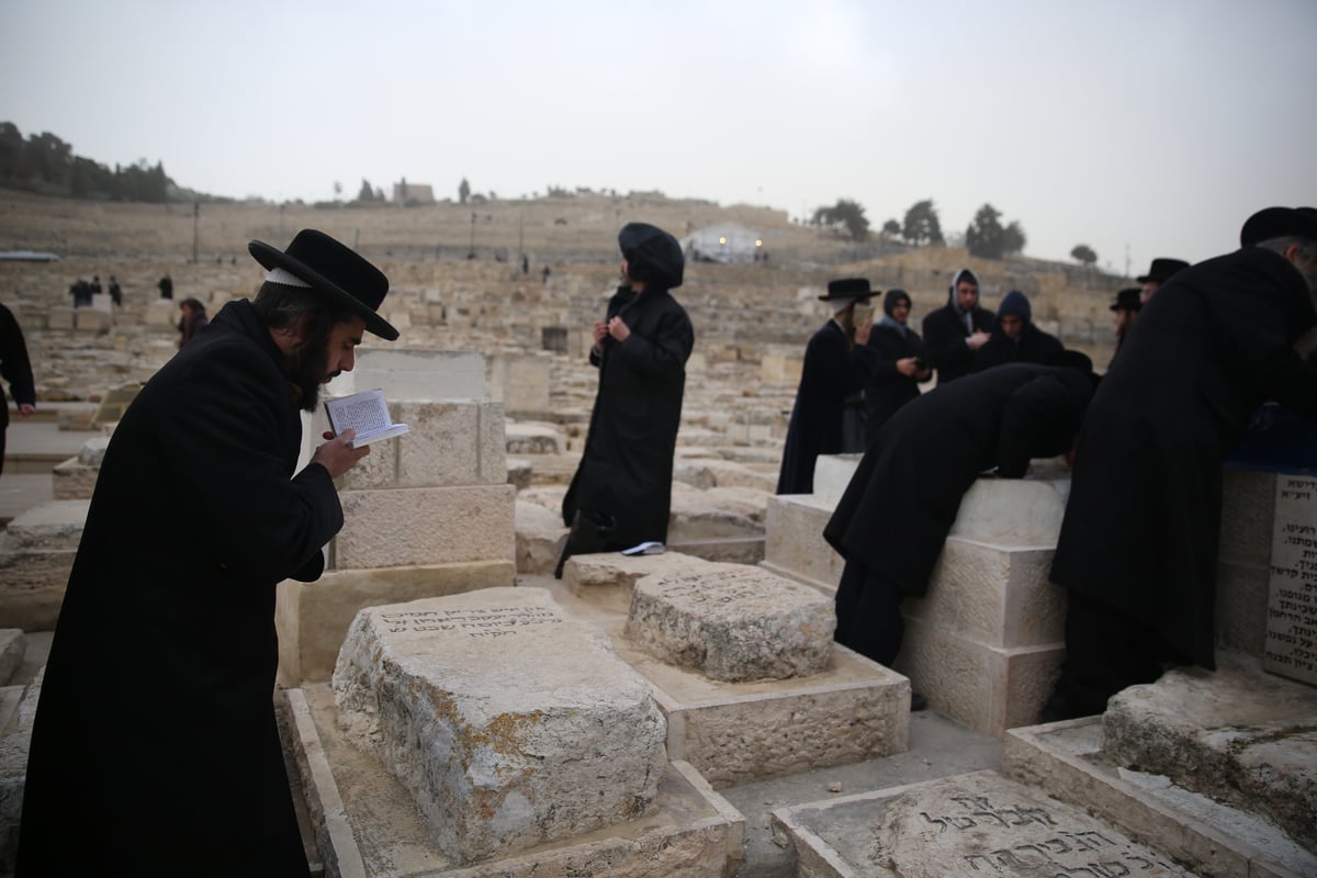 הכירו: המתפללים הקבועים בציון ה'אור החיים'. צפו