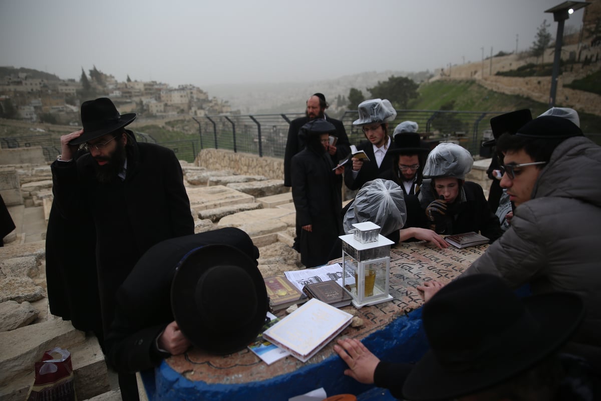 הכירו: המתפללים הקבועים בציון ה'אור החיים'. צפו