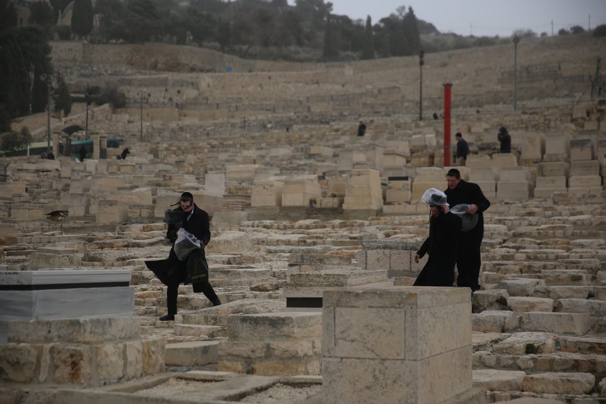 הכירו: המתפללים הקבועים בציון ה'אור החיים'. צפו