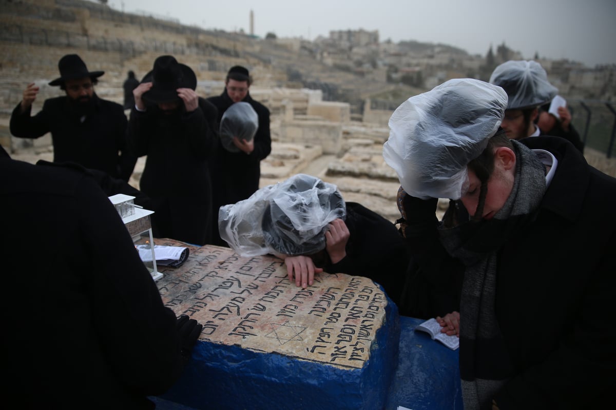 הכירו: המתפללים הקבועים בציון ה'אור החיים'. צפו