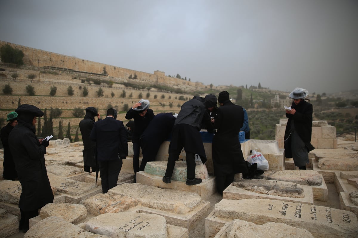 הכירו: המתפללים הקבועים בציון ה'אור החיים'. צפו