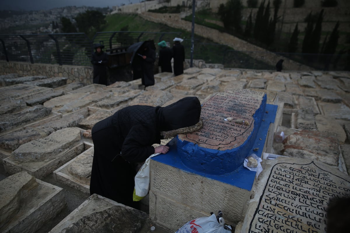 הכירו: המתפללים הקבועים בציון ה'אור החיים'. צפו