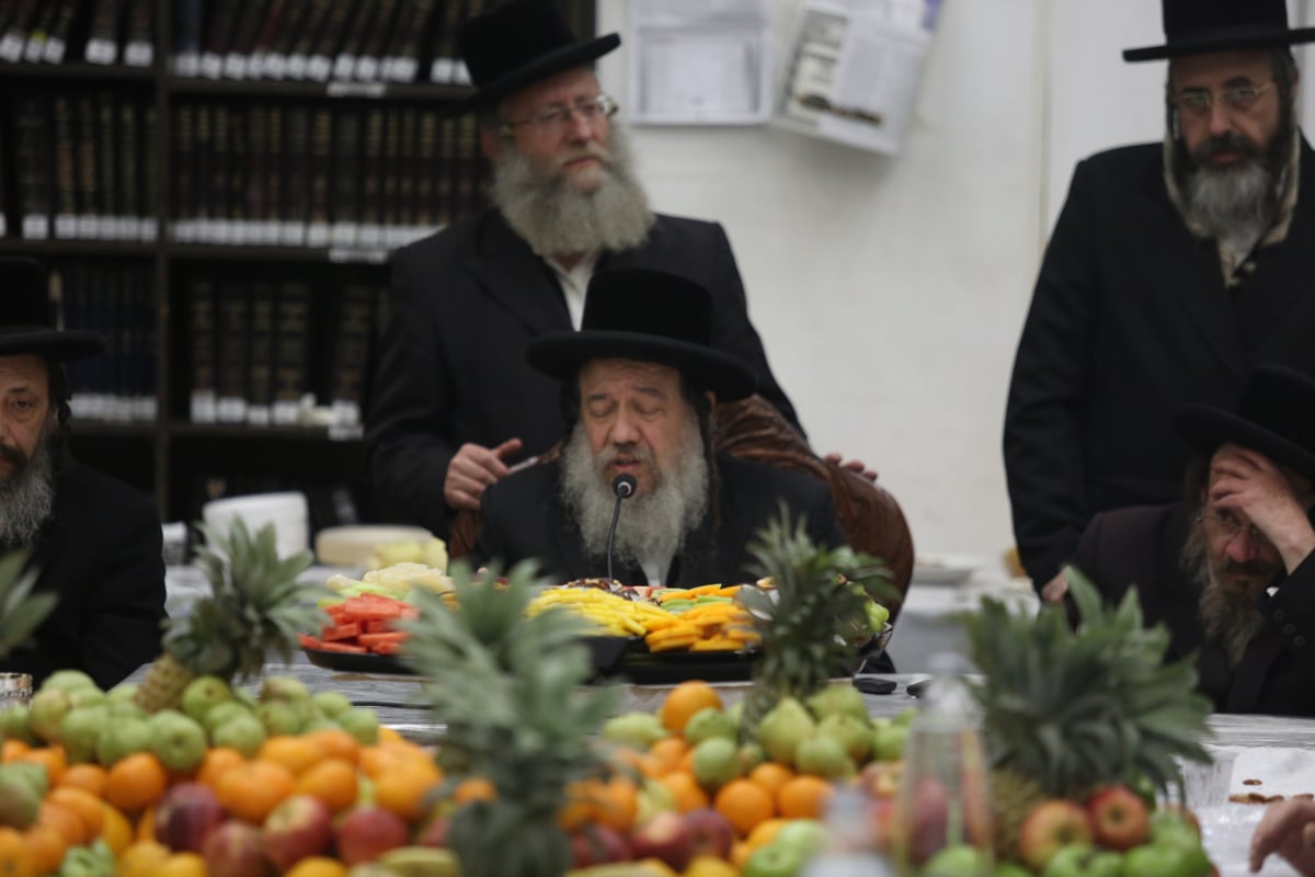 'טיש הפירות' בחסידות זוועהיל בי-ם • גלריה