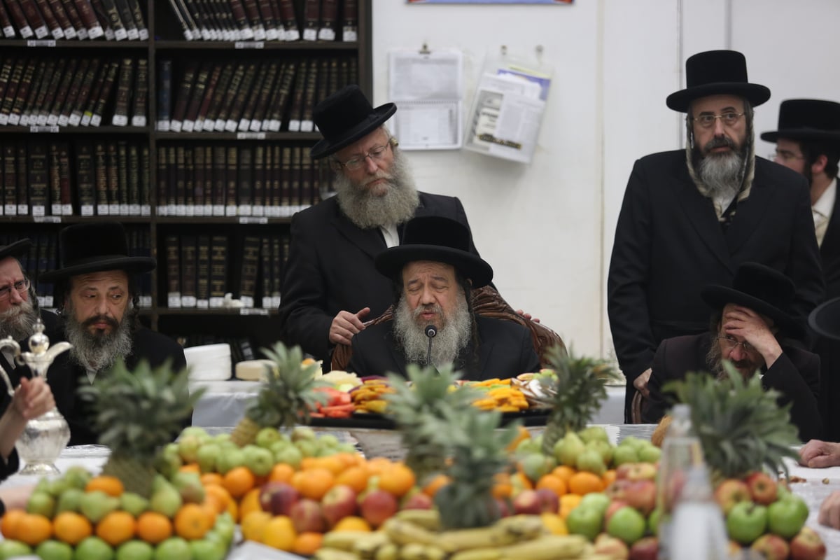 'טיש הפירות' בחסידות זוועהיל בי-ם • גלריה