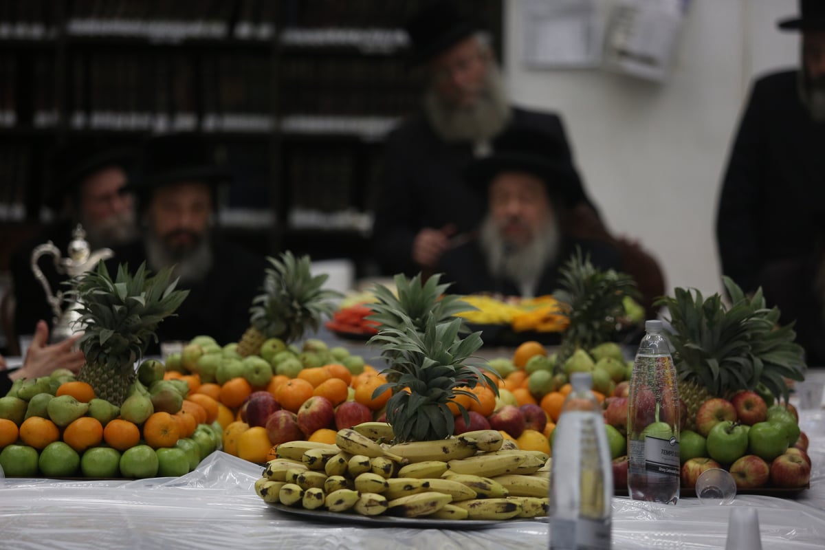 'טיש הפירות' בחסידות זוועהיל בי-ם • גלריה