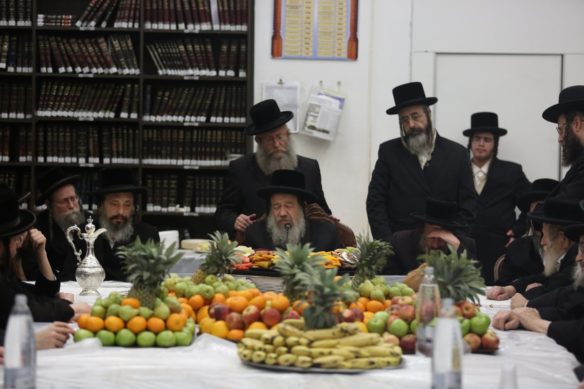 'טיש הפירות' בחסידות זוועהיל בי-ם • גלריה