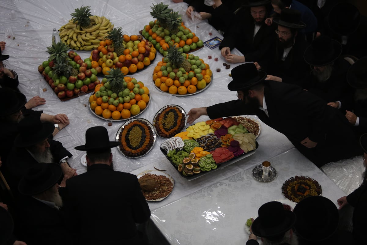 'טיש הפירות' בחסידות זוועהיל בי-ם • גלריה