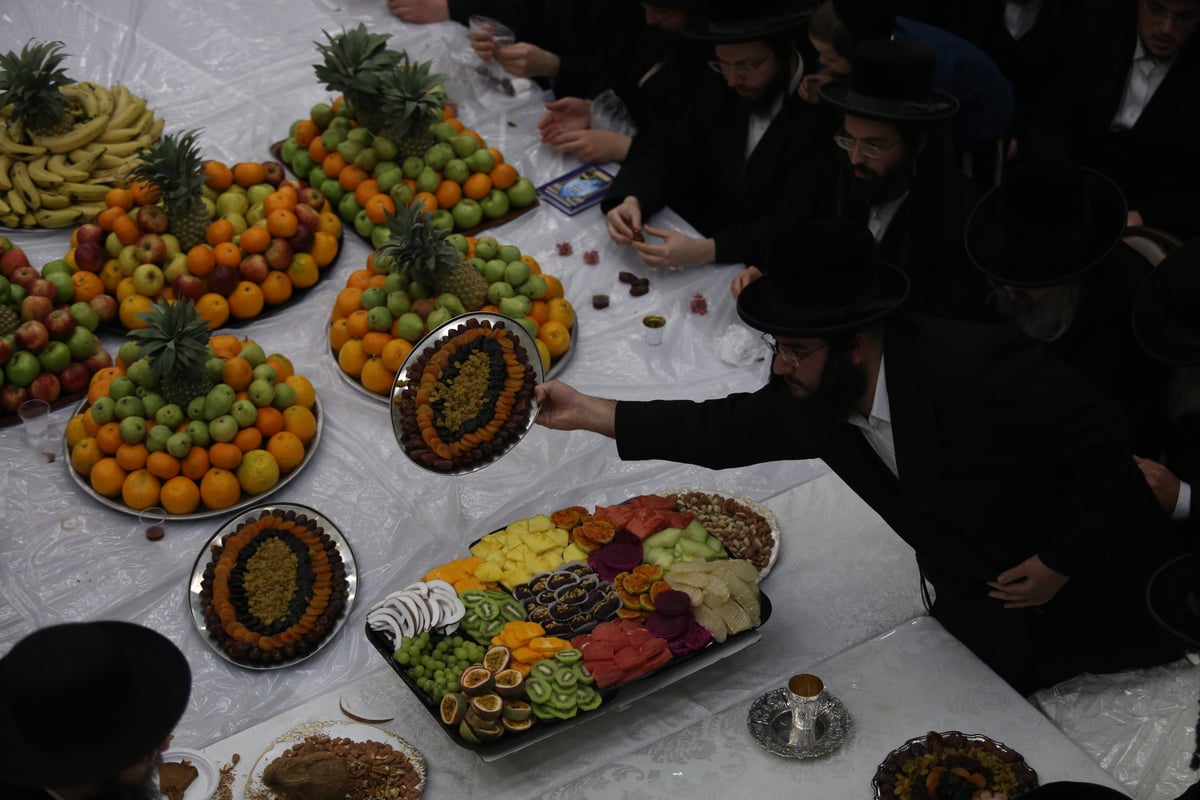 'טיש הפירות' בחסידות זוועהיל בי-ם • גלריה