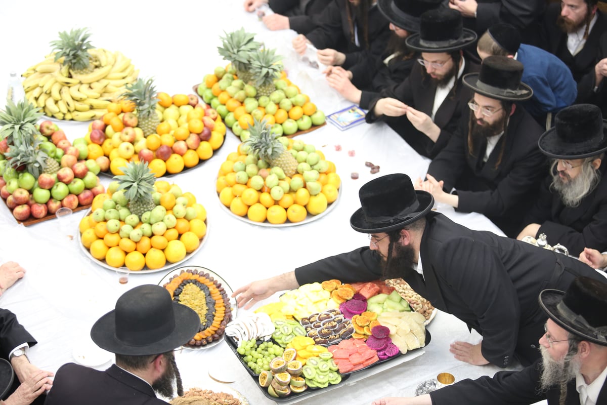 'טיש הפירות' בחסידות זוועהיל בי-ם • גלריה