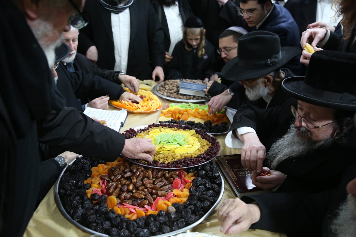 כך ציינו ט"ו בשבט בציון הרשב"י במירון. צפו